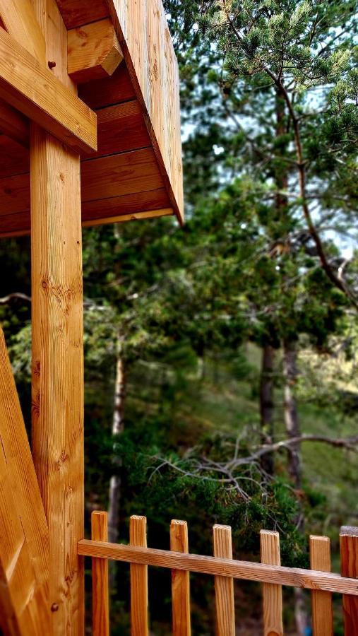 Chalet L'Empreinte Saint-Étienne-de-Tinée Esterno foto